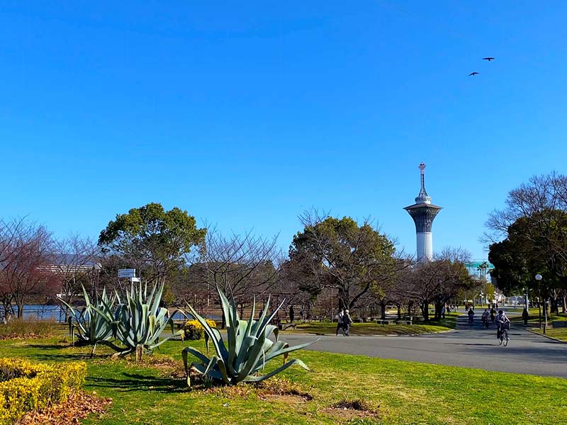 花博記念公園鶴見緑地