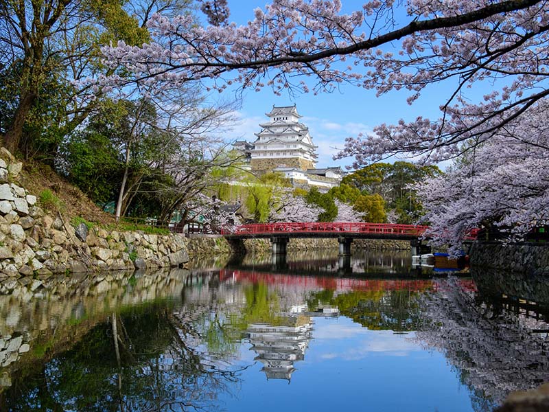 春の姫路城