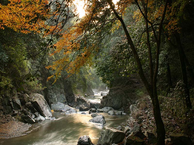 高槻市摂津峡