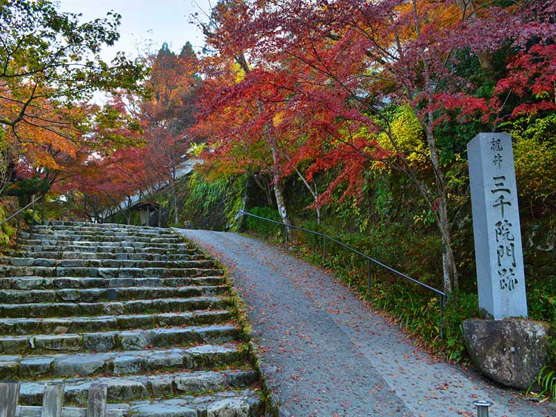 京都大原三千院